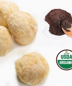 Lions Mane Mushroom Extract Powder