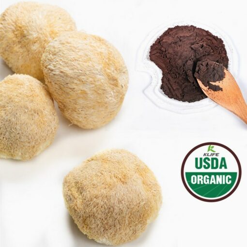 Lions Mane Mushroom Extract Powder