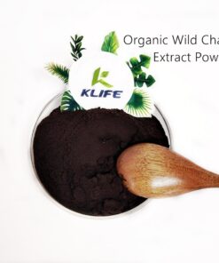 Chaga powder1 (1)