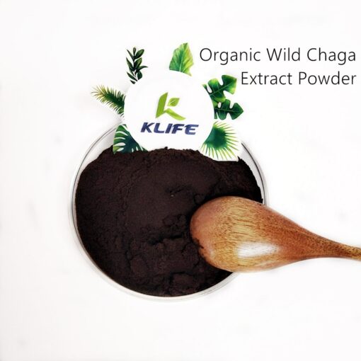 Chaga powder1 (1)