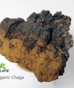 Chaga powder1 (2)