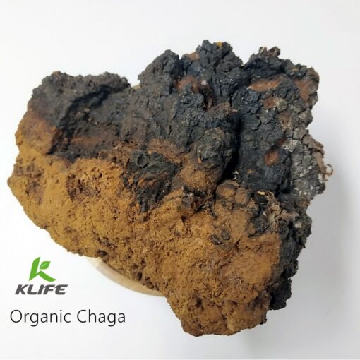 Chaga powder1 (2)