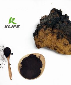 Chaga powder1(18)