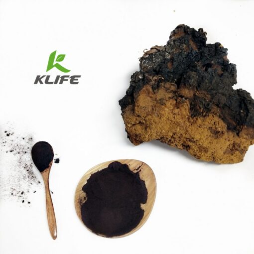 Chaga powder1(18)