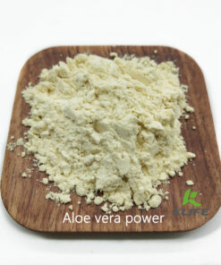 Aloe-Vera-powder