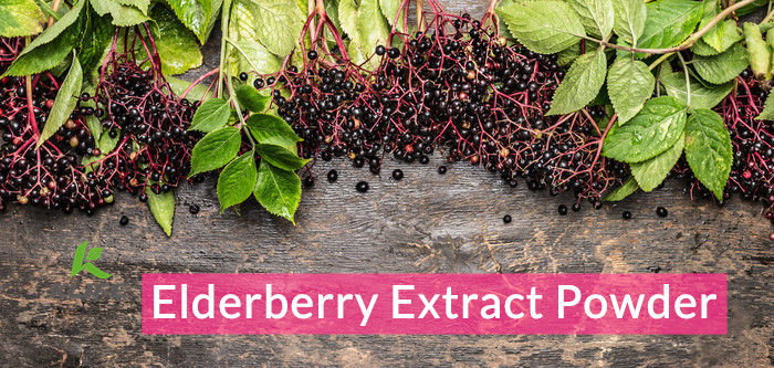 elderberry extract