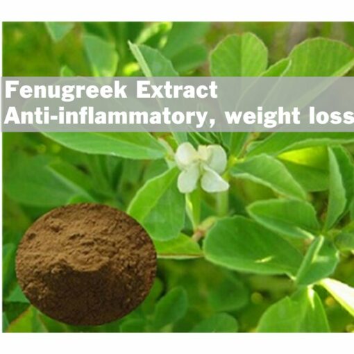 Fenugreek extract