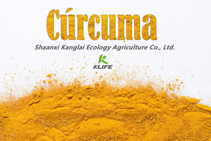 NANO Curcumin