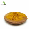 NANO Curcumin Powder