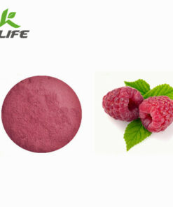 Rsapberry Fruit Powder