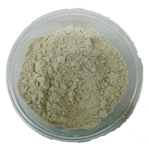 Hemp Protein Powder2