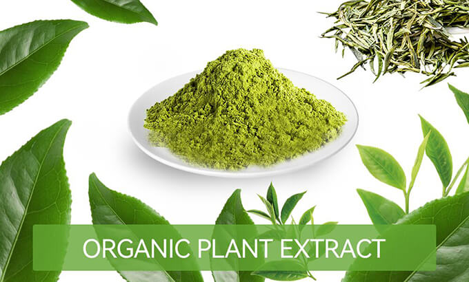 Organic plant extract